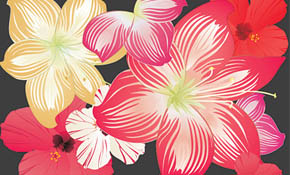 free flower vectors